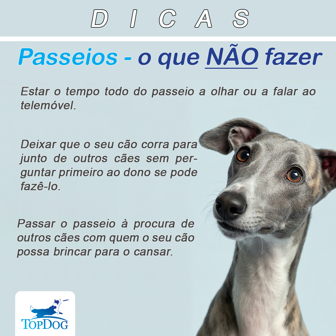 Passeios - O que NÃO fazer Passeios - O que NÃO fazer